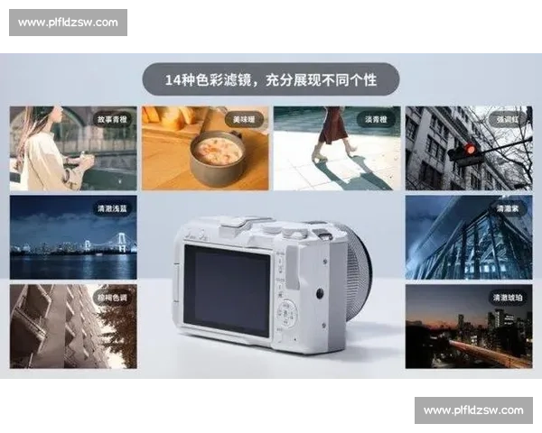 深度解析vs英文版功能差异与使用场景全面对比指南实战评测推荐